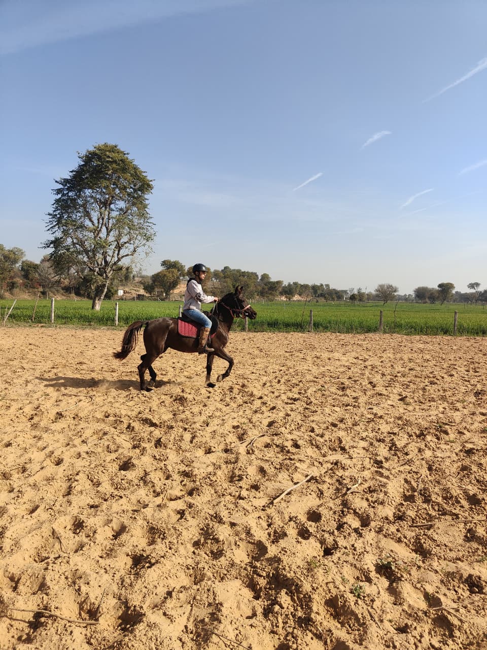 Frontier Safari Riding
